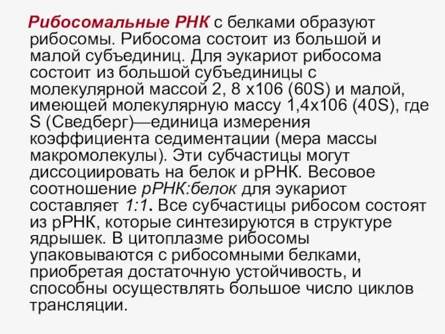 Рибосомальные РНК с белками образуют рибосомы. Рибосома состоит из большой