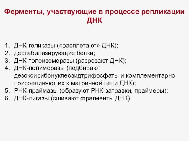 Ферменты, участвующие в процессе репликации ДНК ДНК-геликазы («расплетают» ДНК); дестабилизирующие