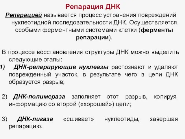 Репарация ДНК Репарацией называется процесс устранения повреждений нуклеотидной последовательности ДНК.