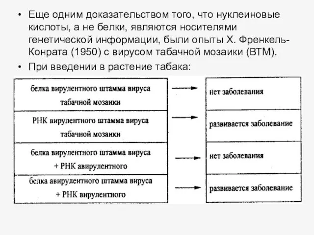 Еще одним доказательством того, что нуклеиновые кислоты, а не белки,