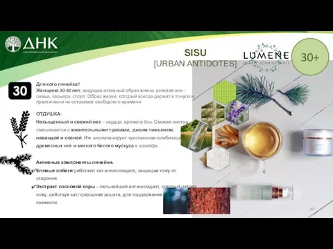 Для кого линейка? Женщина 30-40 лет, ведущая активный образ жизни,