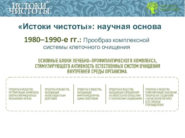 «Истоки чистоты»: научная основа 1980–1990-е гг.: Прообраз комплексной системы клеточного очищения