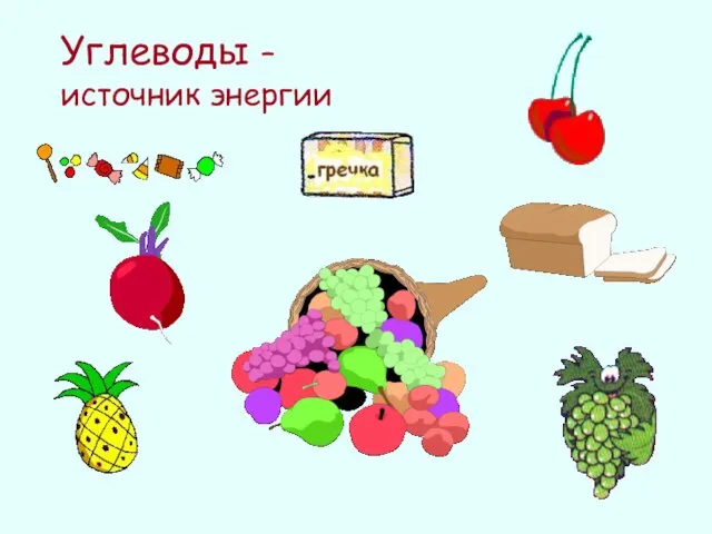 Углеводы – источник энергии