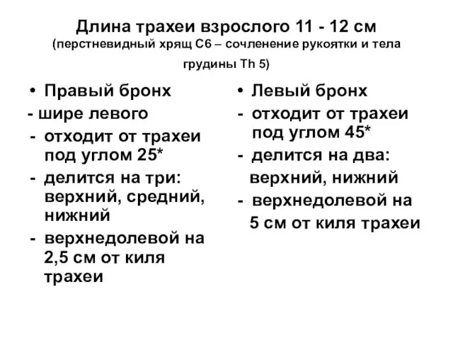 Длина трахеи взрослого 11 - 12 см (перстневидный хрящ С6