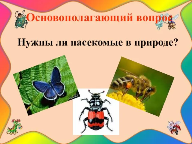 Основополагающий вопрос Нужны ли насекомые в природе?