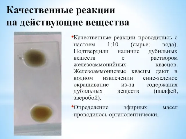 Качественные реакции проводились с настоем 1:10 (сырье: вода). Подтвердили наличие