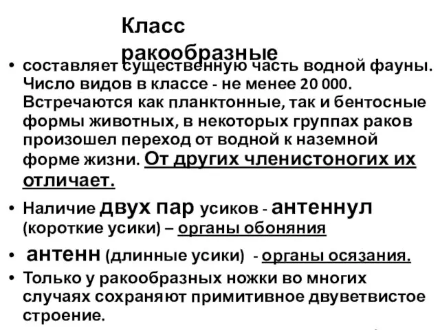 составляет существенную часть водной фауны. Число видов в классе -