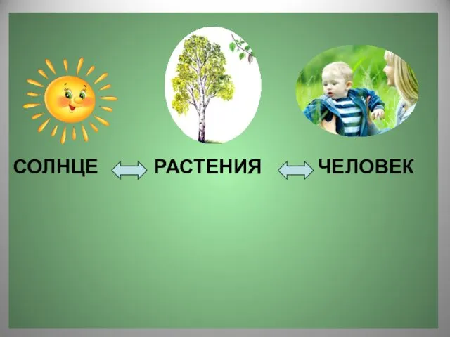 СОЛНЦЕ РАСТЕНИЯ ЧЕЛОВЕК