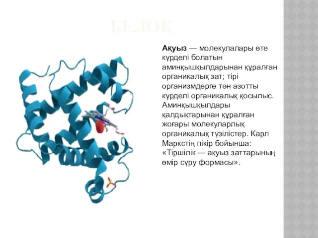 БЕЛОК Ақуыз — молекулалары өте күрделі болатын аминқышқылдарынан құралған органикалық