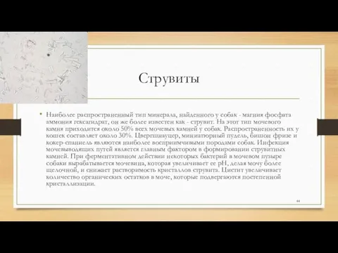 Струвиты Наиболее распространенный тип минерала, найденного у собак - магния