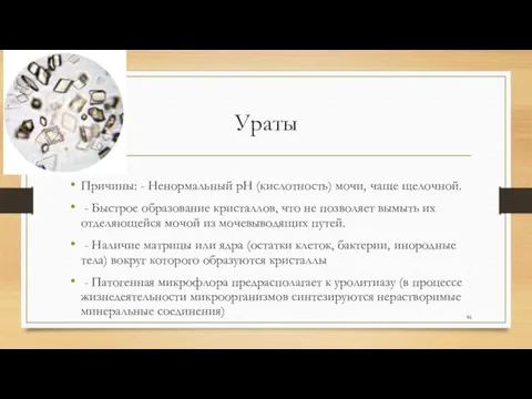 Ураты Причины: - Ненормальный pH (кислотность) мочи, чаще щелочной. -