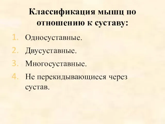 Классификация мышц по отношению к суставу: Односуставные. Двусуставные. Многосуставные. Не перекидывающиеся через сустав.