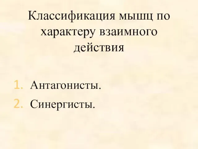 Классификация мышц по характеру взаимного действия Антагонисты. Синергисты.