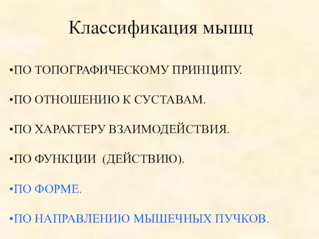 Классификация мышц ПО ТОПОГРАФИЧЕСКОМУ ПРИНЦИПУ. ПО ОТНОШЕНИЮ К СУСТАВАМ. ПО