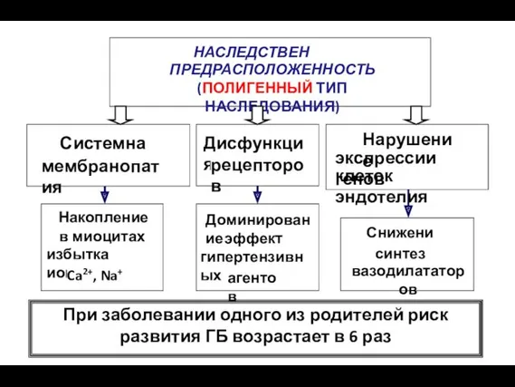 НАСЛЕДСТВЕННАЯ ПРЕДРАСПОЛОЖЕННОСТЬ (ПОЛИГЕННЫЙ ТИП НАСЛЕДОВАНИЯ) Дисфункция рецепторов Накопление в миоцитах