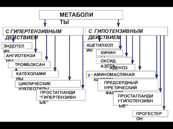 Схема 22-47 МЕТАБОЛИТЫ С ГИПЕРТЕНЗИВНЫМ ДЕЙСТВИЕМ ЭНДОТЕЛИН АЦЕТИЛХОЛИН АНГИОТЕНЗИНЫ ТРОМБОКСАН