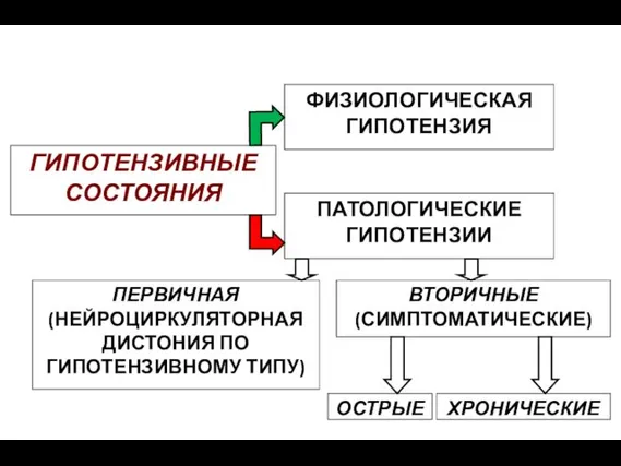 ГИПОТЕНЗИВНЫЕ СОСТОЯНИЯ ПАТОЛОГИЧЕСКИЕ ГИПОТЕНЗИИ ФИЗИОЛОГИЧЕСКАЯ ГИПОТЕНЗИЯ ПЕРВИЧНАЯ (НЕЙРОЦИРКУЛЯТОРНАЯ ДИСТОНИЯ ПО ГИПОТЕНЗИВНОМУ ТИПУ) ВТОРИЧНЫЕ (СИМПТОМАТИЧЕСКИЕ) ОСТРЫЕ ХРОНИЧЕСКИЕ