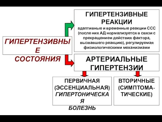 ГИПЕРТЕНЗИВНЫЕ СОСТОЯНИЯ АРТЕРИАЛЬНЫЕ ГИПЕРТЕНЗИИ ГИПЕРТЕНЗИВНЫЕ РЕАКЦИИ адаптивные и временные реакции