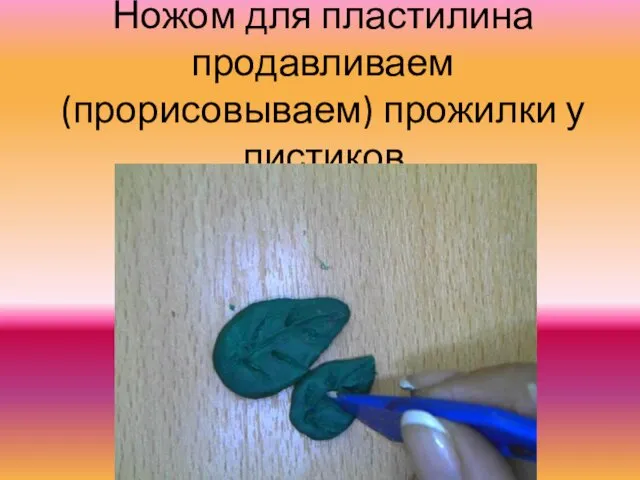 Ножом для пластилина продавливаем (прорисовываем) прожилки у листиков