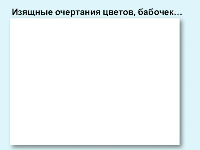 Изящные очертания цветов, бабочек…