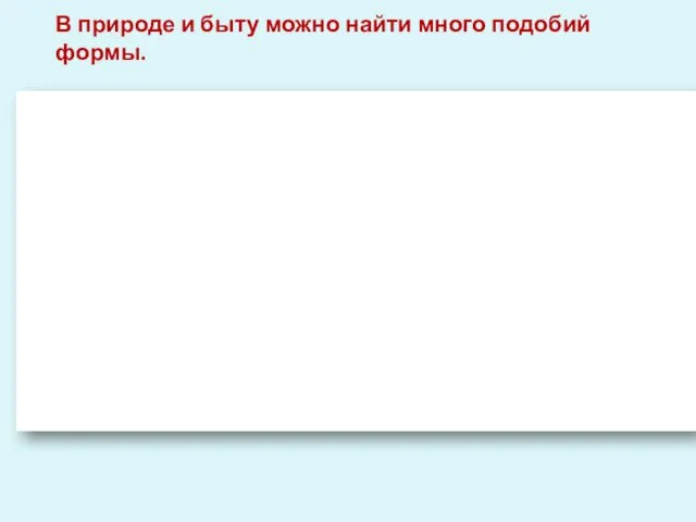 В природе и быту можно найти много подобий формы.