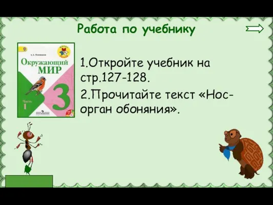 Работа по учебнику 1.Откройте учебник на стр.127-128. 2.Прочитайте текст «Нос-орган обоняния».