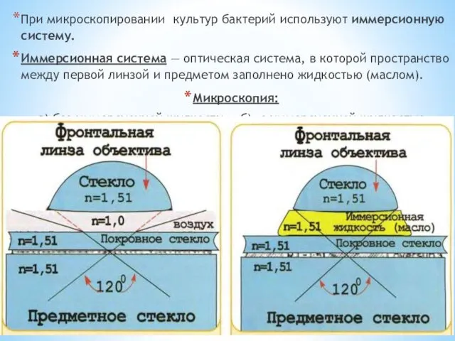 При микроскопировании культур бактерий используют иммерсионную систему. Иммерсионная система —