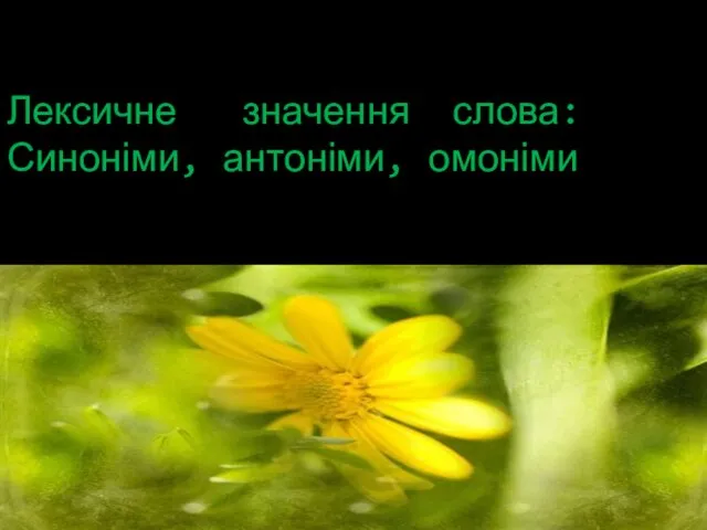 Лексичне значення слова: Синоніми, антоніми, омоніми