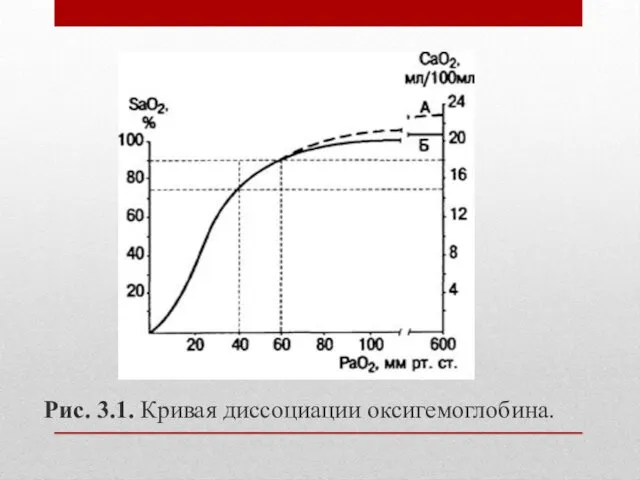 Рис. 3.1. Кривая диссоциации оксигемоглобина.