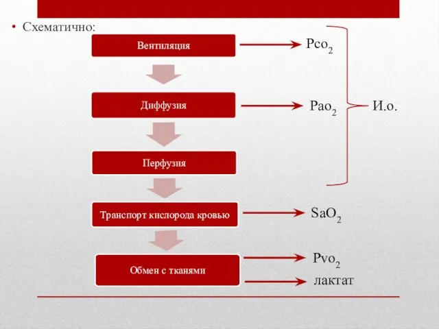 Схематично: Рсо2 Рао2 Рvо2 лактат SаО2 И.о.