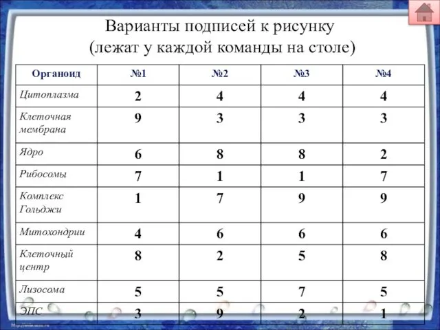 Варианты подписей к рисунку (лежат у каждой команды на столе)