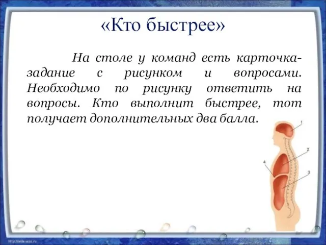 «Кто быстрее» На столе у команд есть карточка-задание с рисунком и вопросами. Необходимо