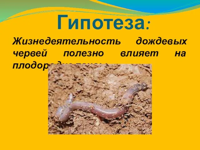 Гипотеза: Жизнедеятельность дождевых червей полезно влияет на плодородие почвы.