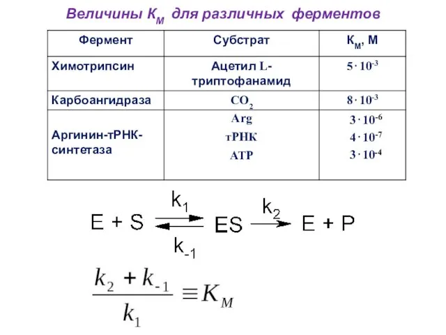 Величины КМ для различных ферментов -6 -7 -4