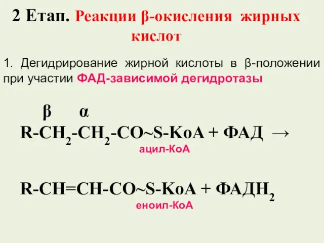 2 Етап. Реакции β-окисления жирных кислот 1. Дегидрирование жирной кислоты