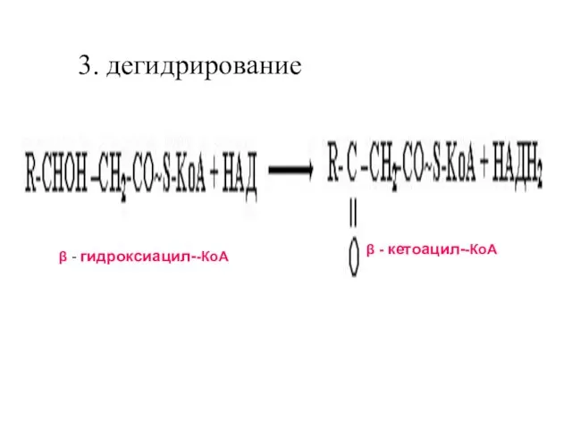 3. дегидрирование