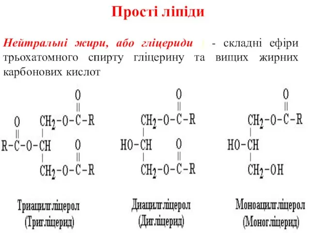 Прості ліпіди Нейтральні жири, або гліцериди ) - складні ефіри