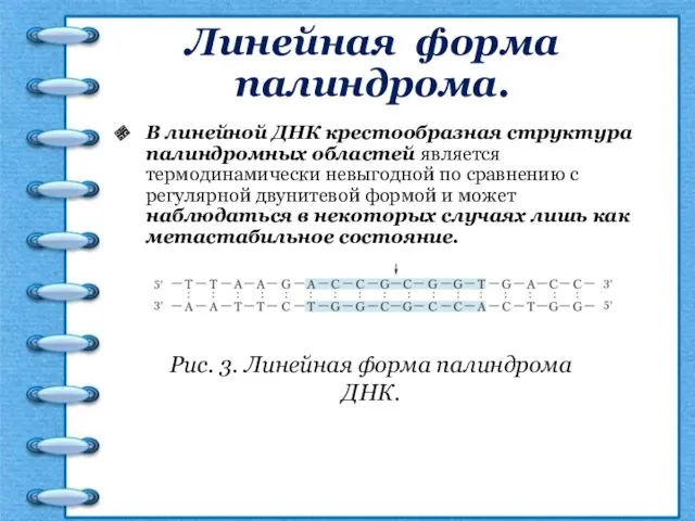 Линейная форма палиндрома. В линейной ДНК крестообразная структура палиндромных областей