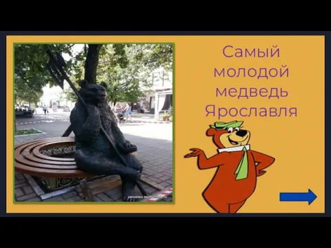 Самый молодой медведь Ярославля