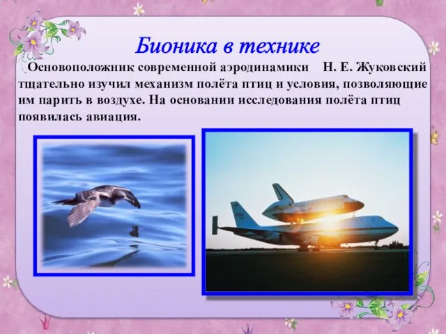 Основоположник современной аэродинамики Н. Е. Жуковский тщательно изучил механизм полёта птиц и условия,