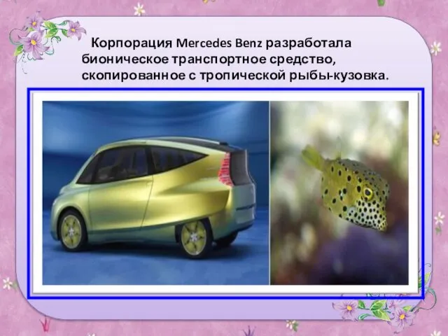 Корпорация Mercedes Benz разработала бионическое транспортное средство, скопированное с тропической рыбы-кузовка.