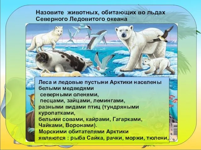 Писаревская Т.П. Баган Назовите животных, обитающих во льдах Северного Ледовитого