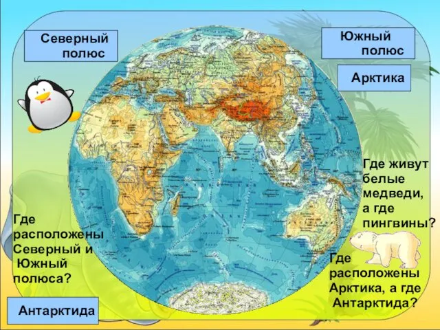 Писаревская Т.П. Баган Северный полюс Южный полюс Где расположены Северный