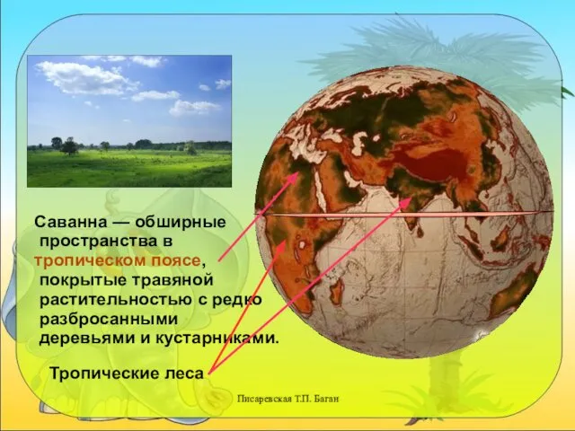 Писаревская Т.П. Баган Саванна — обширные пространства в тропическом поясе,