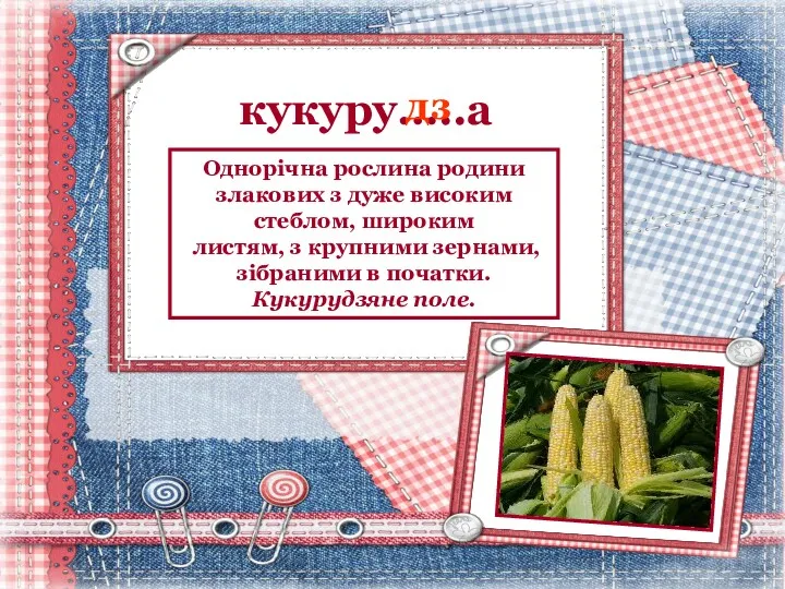 кукуру…..а дз Однорічна рослина родини злакових з дуже високим стеблом,