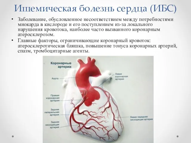Ишемическая болезнь сердца (ИБС) Заболевание, обусловленное несоответствием между потребностями миокарда