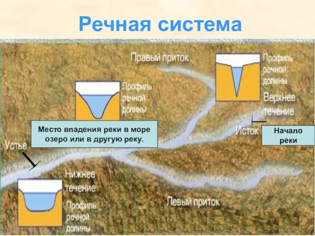 Речная система Место впадения реки в море озеро или в другую реку. Начало реки