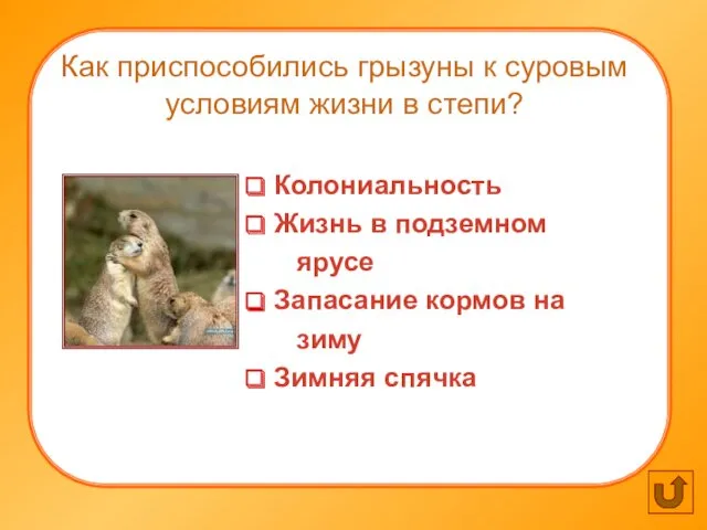 Как приспособились грызуны к суровым условиям жизни в степи? Колониальность