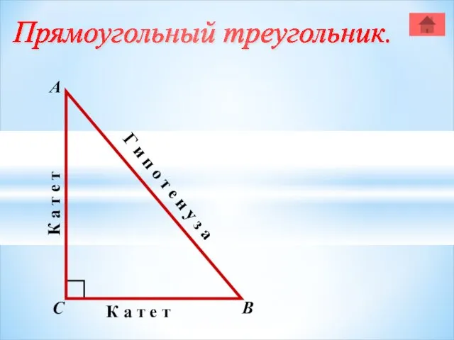 Прямоугольный треугольник. А В С К а т е т
