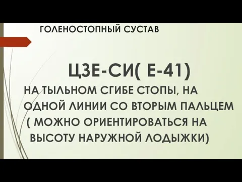 ГОЛЕНОСТОПНЫЙ СУСТАВ ЦЗЕ-СИ( Е-41) НА ТЫЛЬНОМ СГИБЕ СТОПЫ, НА ОДНОЙ